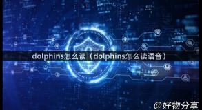 dolphins怎么读（dolphins怎么读语音）