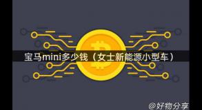 宝马mini多少钱（女士新能源小型车）