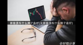 新能源车什么牌子最好(买新能源车什么牌子最好)