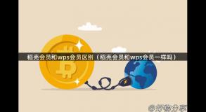 稻壳会员和wps会员区别（稻壳会员和wps会员一样吗）