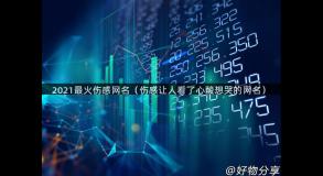 2021最火伤感网名（伤感让人看了心酸想哭的网名）