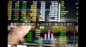 新手种大棚适合种什么（10米宽大棚60米长造价）