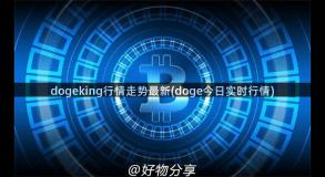 dogeking行情走势最新(doge今日实时行情)