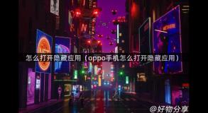 怎么打开隐藏应用（oppo手机怎么打开隐藏应用）