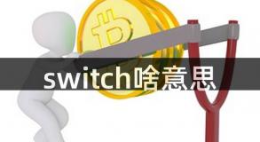 switch啥意思