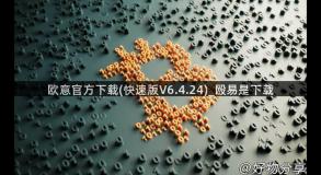 欧意官方下载(快速版V6.4.24)_殴易是下载