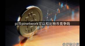 pi币pinetwork可以和比特币竞争吗