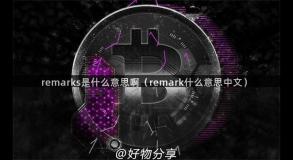 remarks是什么意思啊（remark什么意思中文）