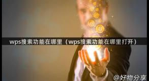 wps搜索功能在哪里（wps搜索功能在哪里打开）