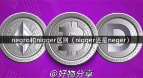 negro和nigger区别（nigger还是neger）