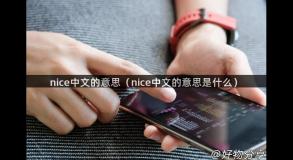 nice中文的意思（nice中文的意思是什么）