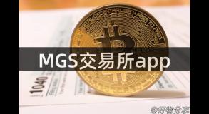 MGS交易所app