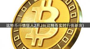 比特币行情狂人2月28(比特币实时行情新浪)