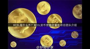 XCEL是什么币？XCEL货币官网总量和项目团队介绍