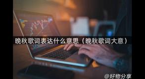 晚秋歌词表达什么意思（晚秋歌词大意）