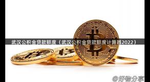 武汉公积金贷款额度（武汉公积金贷款额度计算器2022）