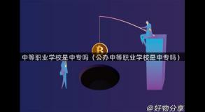 中等职业学校是中专吗（公办中等职业学校是中专吗）