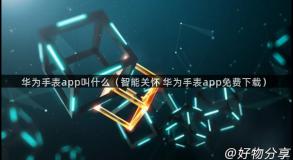 华为手表app叫什么（智能关怀 华为手表app免费下载）