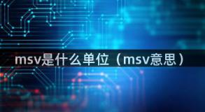 msv是什么单位（msv意思）