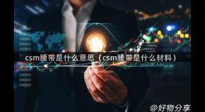 csm腰带是什么意思（csm腰带是什么材料）