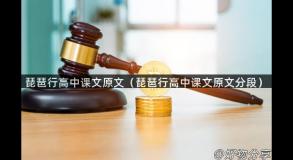 琵琶行高中课文原文（琵琶行高中课文原文分段）