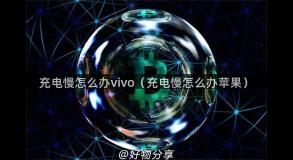 充电慢怎么办vivo（充电慢怎么办苹果）