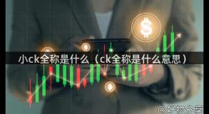 小ck全称是什么（ck全称是什么意思）