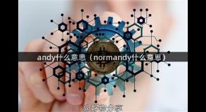 andy什么意思（normandy什么意思）