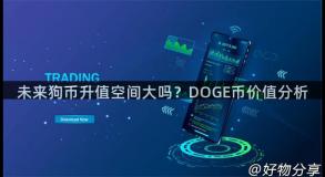 未来狗币升值空间大吗？DOGE币价值分析