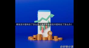 微信支付密码忘了怎么办（未成年微信支付密码忘了怎么办）