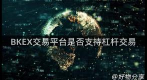 BKEX交易平台是否支持杠杆交易