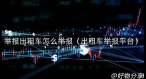 举报出租车怎么举报（出租车举报平台）