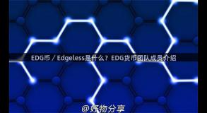 EDG币／Edgeless是什么？EDG货币团队成员介绍