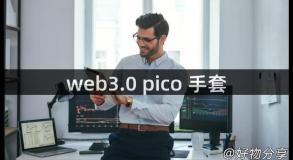 web3.0 pico 手套