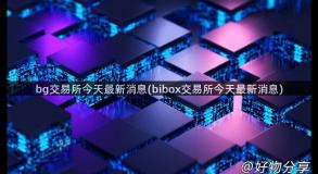 bg交易所今天最新消息(bibox交易所今天最新消息)