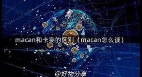 macan和卡宴的区别（macan怎么读）