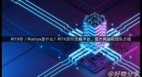 MTX币／Matryx是什么？MTX货币交易平台、官方网站和团队介绍