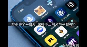 炒币哪个平台好_比特币正规交易平台app