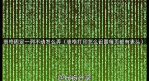 表格固定一列不动怎么弄（表格打印怎么设置每页都有表头）