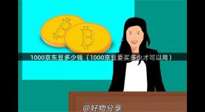 1000京东豆多少钱（1000京豆要买多少才可以用）