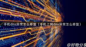 手机dns异常怎么修复（手机上网dns异常怎么修复）