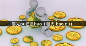 曝光pu还是bao（曝光 bao pu）