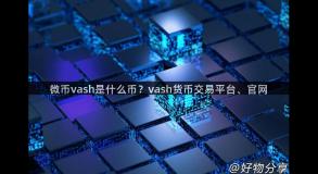 微币vash是什么币？vash货币交易平台、官网