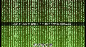 lan1和lan2的区别（lan1和lan2的区别和wan）