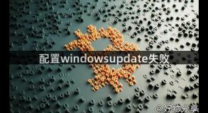 配置windowsupdate失败