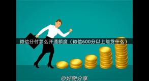 微信分付怎么开通额度（微信600分以上能贷什么）