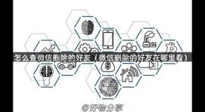 怎么查微信删除的好友（微信删除的好友在哪里看）