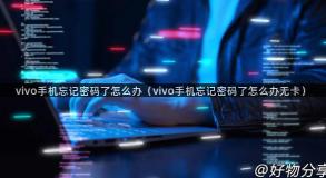 vivo手机忘记密码了怎么办（vivo手机忘记密码了怎么办无卡）