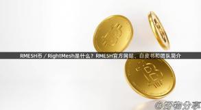 RMESH币／RightMesh是什么？RMESH官方网站、白皮书和团队简介