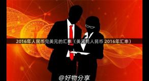 2016年人民币兑美元的汇率（美元兑人民币 2016年汇率）